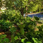 Motel Kapri & Kaplica Yalova