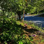 Kapri & Kaplica Yalova