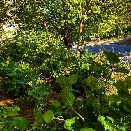 Motel Kapri & Kaplica Yalova