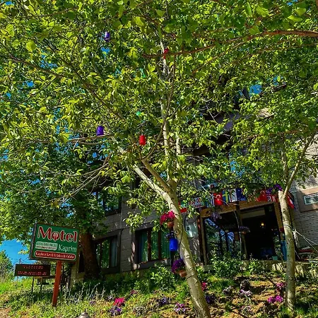Kapri & Kaplica Yalova 3* 테르말