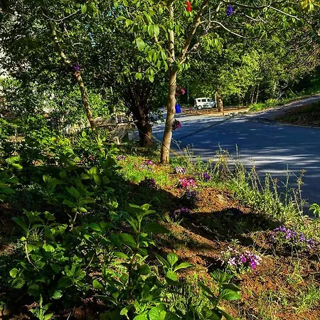 Kapri & Kaplica Yalova