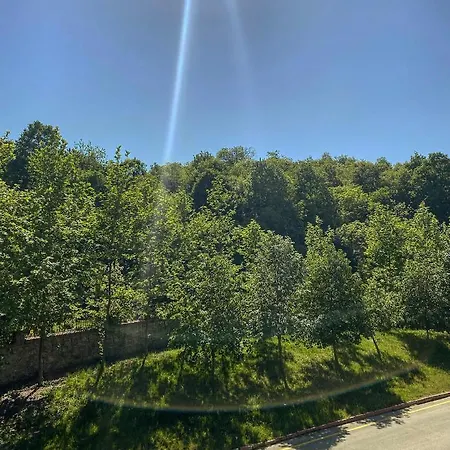 Kapri & Kaplica Yalova Motel Termal