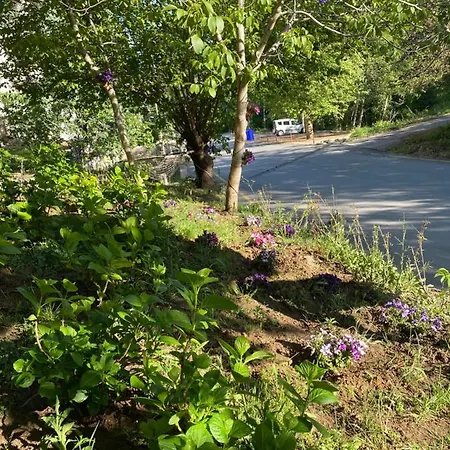 Motel Kapri & Kaplica Yalova