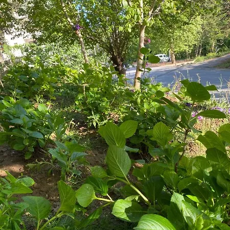 Kapri & Kaplica Yalova Motel 3*