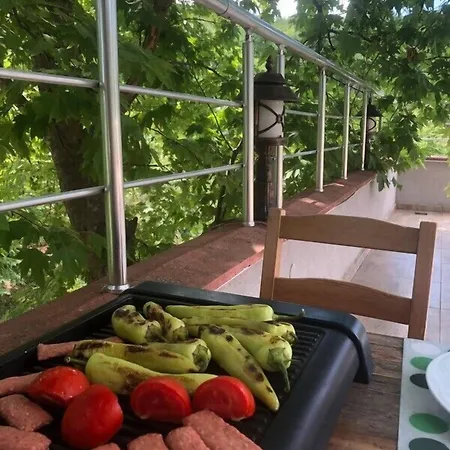 Kapri & Kaplica Yalova 3* 테르말